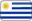 Uruguay Flag Icon